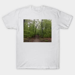 In The Spring Forest T-Shirt